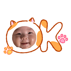 MINA_20260204191323