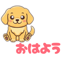 sky.rainbow_20260204212530