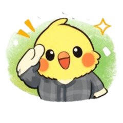 Casual Cockatiel Daily Life0