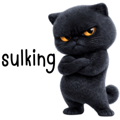 Black cat! Tuatung (EN)