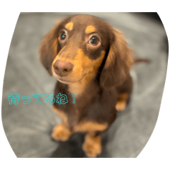 ponuni_20260204222813