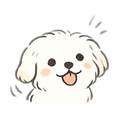 i am maltese