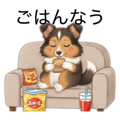 pappy_20260204182138