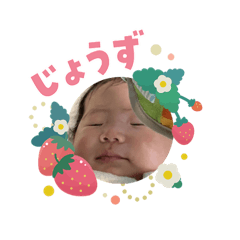 shiho202602