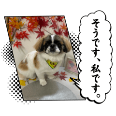 Ryoko_20260204195635