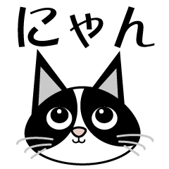 Year-round stamps of a bicolor cat