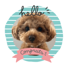 Masashi_20260204225755