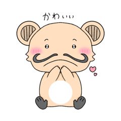 Aocha_20260204233356