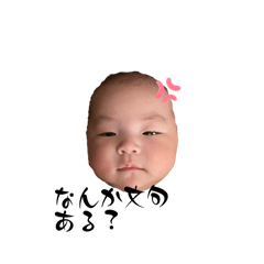 MINA_20260204234100