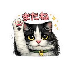 chiemis_20260205115844