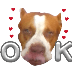 Love day_20260204160859