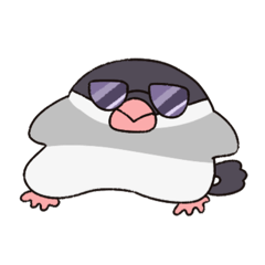 wowo_20260203155406
