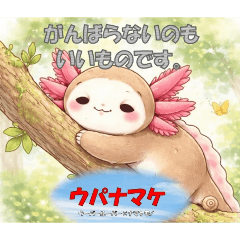 KRPBooks_20260203160039