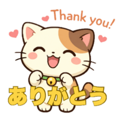 hachi_20260204183058