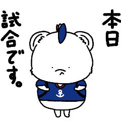 A bear supporting a tricolor soccer club