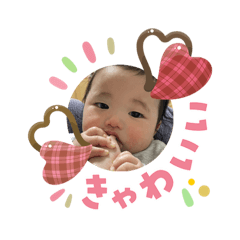 toshi_20260204210850