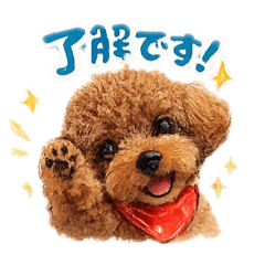 tom style_20260204205921