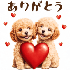 Animated Toy Poodle Caring Love