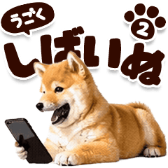 【動く】しばいぬ2