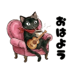 Guitar cat 8