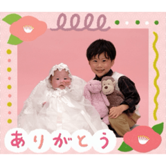 heihei_20260205113427