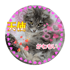 momo369_20260204215701