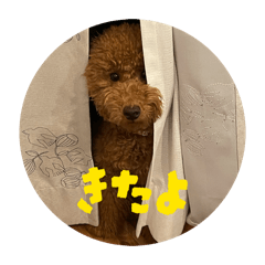 naoba_20260204220040