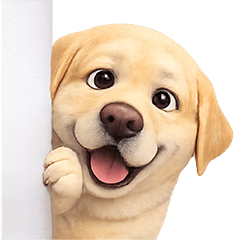 Kaitoon Cute Labrador Retriever