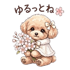 Fluffy Maltipoos  spring