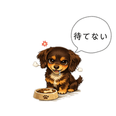 marco_20260205125557