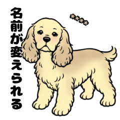 名前入りアメコカクリーム