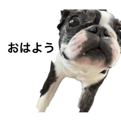 lic.7203_20260204224942