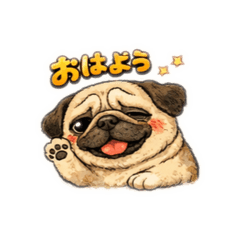 riccavina_20260204224511