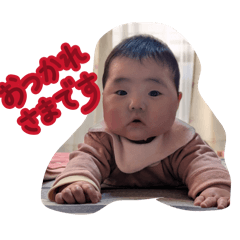 MOMO_20260204225125