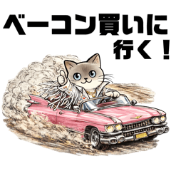 colin_20260203163126