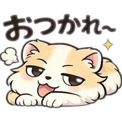 umimomo_20260204214204