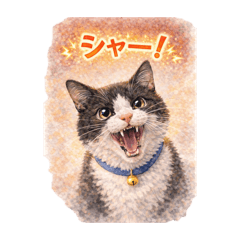 yasuyon_20260204224343