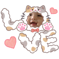 hosaw599_20260204172937