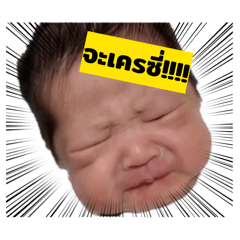 ppahn_20260204174249