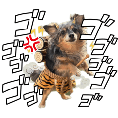 SAKURAHIME_20260205004233