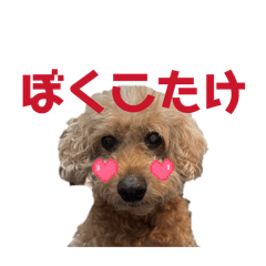 OTOHI_20260205010342