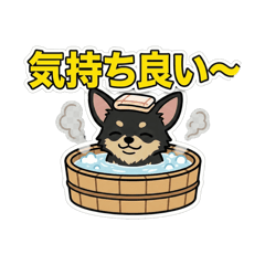 Taikun_20260205092905