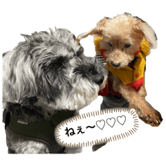 ayumi_20260205005658