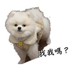 ㄉㄟㄉㄟ小太陽