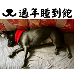 小小黑（一改再改版）