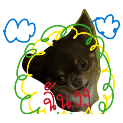 Yanisa_20260204183906