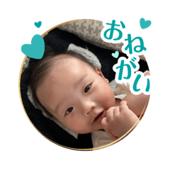 Miyuki_20260205021339