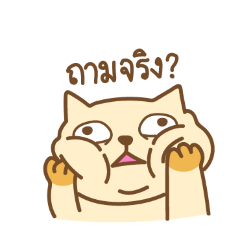 sakura_20260204195404