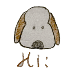 小白狗與牠的好朋友