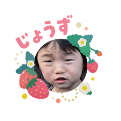 Koguma_20260205062347@